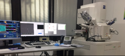 Microscopio Elettronico a Scansione Zeiss GeminiSEM 500