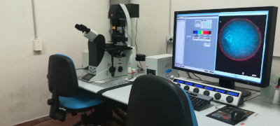 Microscopio Confocale Leica TCS SP5 II