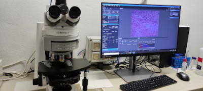 Microscope Zeiss Axio Imager A2